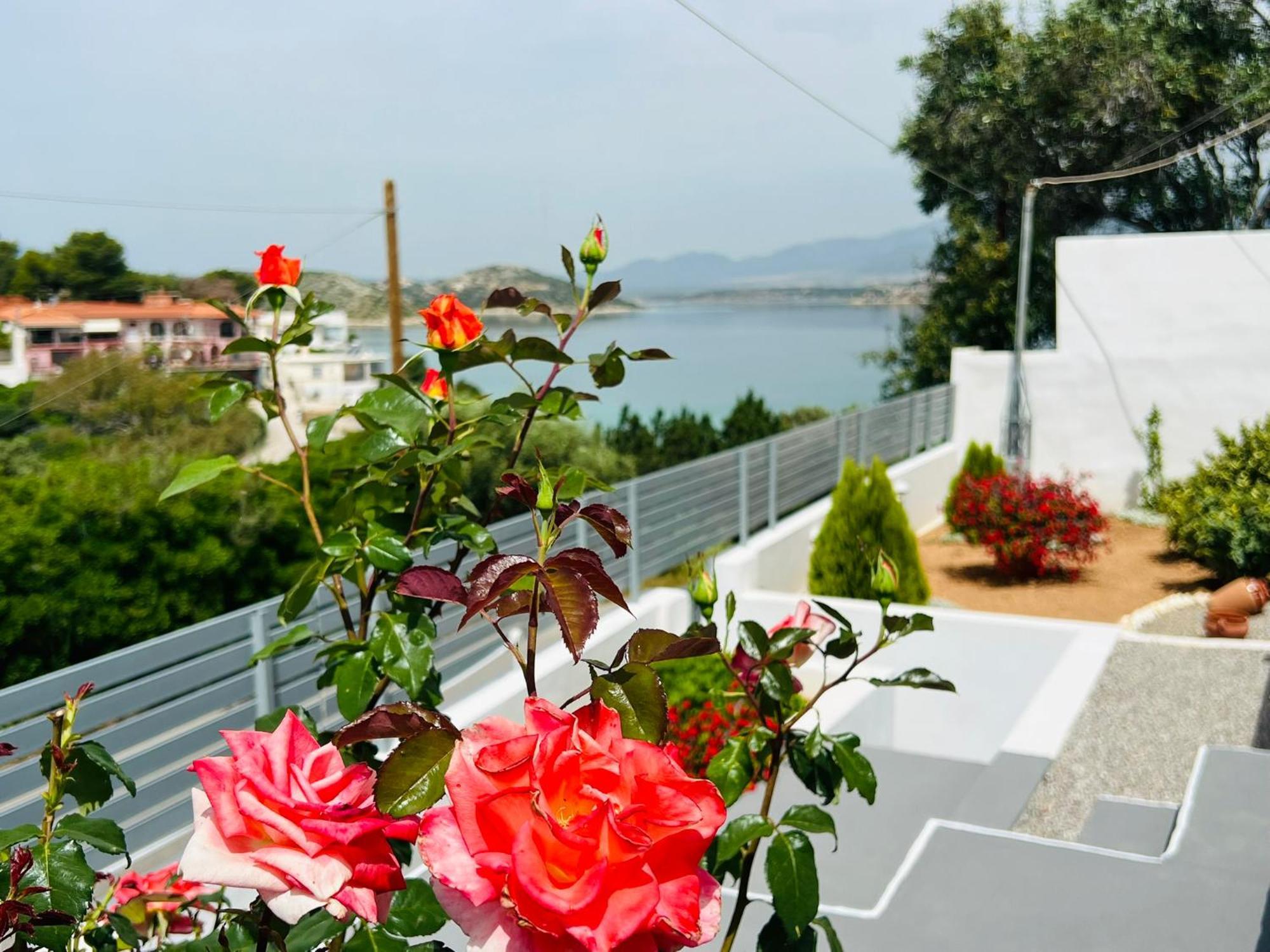 Oceanus Summer House Đảo Đảo Salamis Ngoại thất bức ảnh